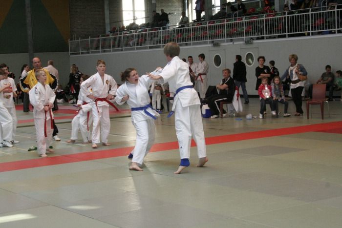 lmfighting 2011
