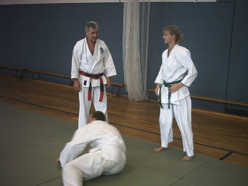 training meyer 2003