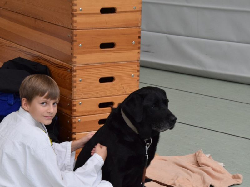 vereinslehrgang 2019