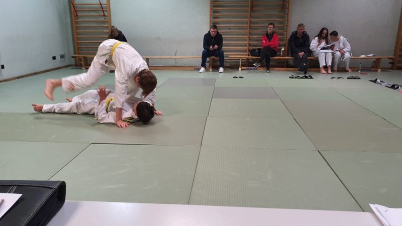 vereinspruefung 2023