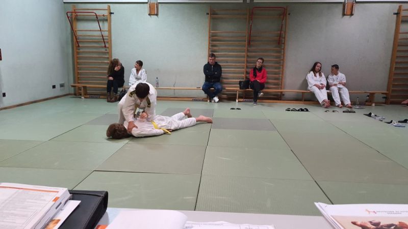 vereinspruefung 2023