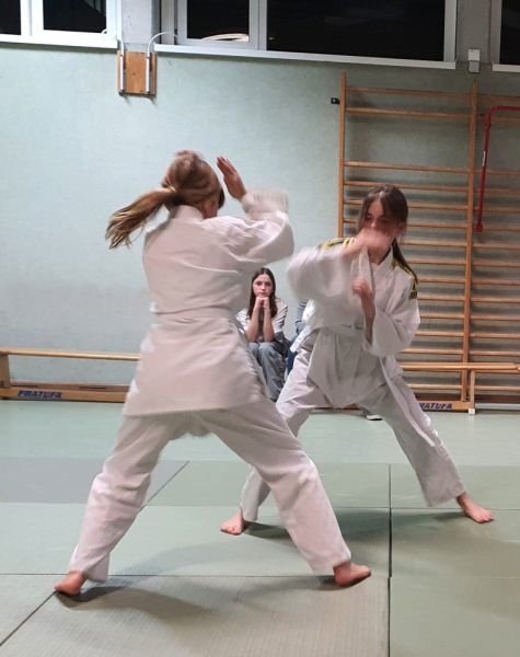 vereinspruefung 2023