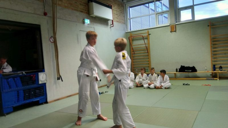 vereinspruefung 2019