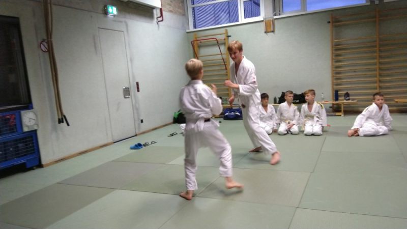 vereinspruefung 2019