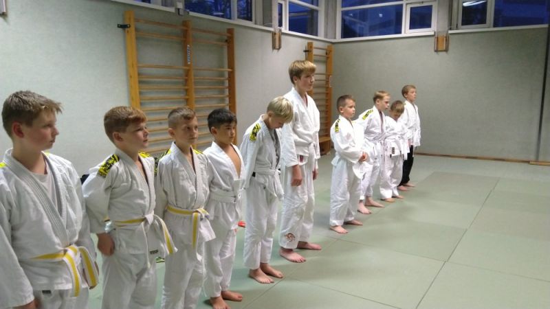 vereinspruefung 2019