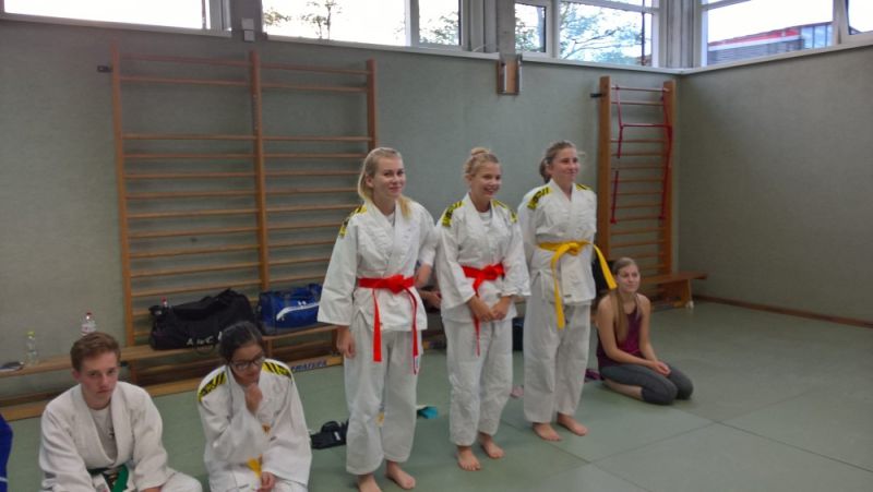 vereinspruefung 2016