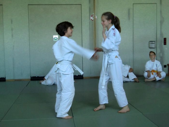 vereinspruefung 2013