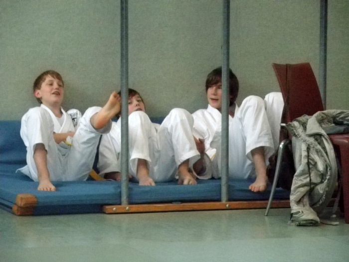 vereinspruefung 2011